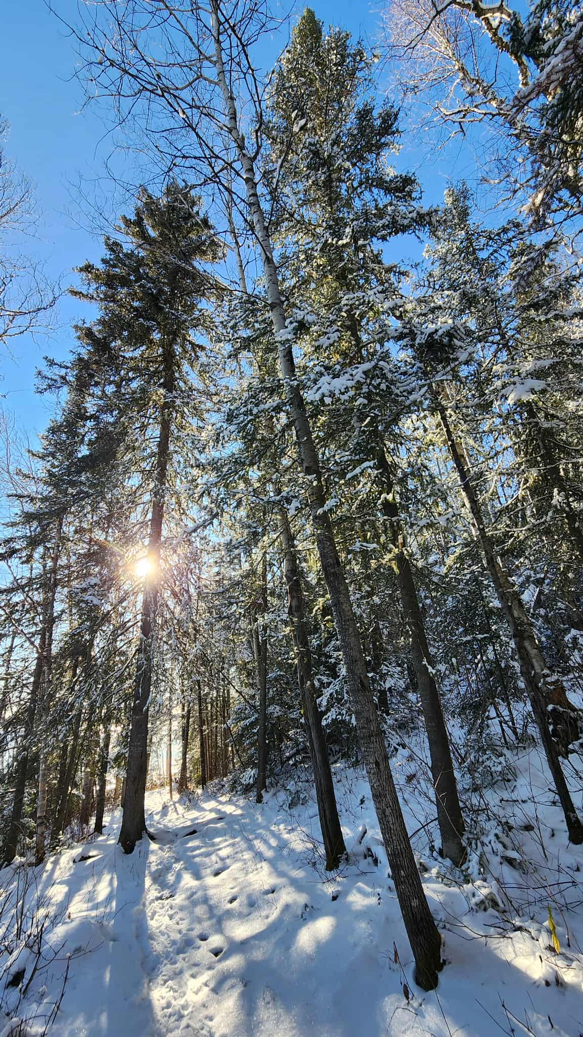 578871201 1384376513254158 7553830164914251107 N